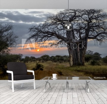 Bild på Baobab at Sunset Tanzania